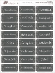 OBDÉLNÍK UNI - SADA štítků 45x20mm (24ks)
