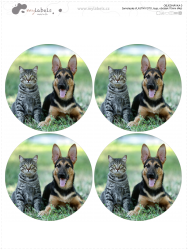 70mm FOTOSAMOLEPKA (4ks)