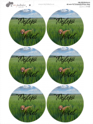 60 mm FOTOSAMOLEPKA (6ks)